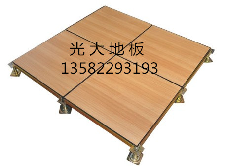 供應(yīng)光大木紋防靜電地板