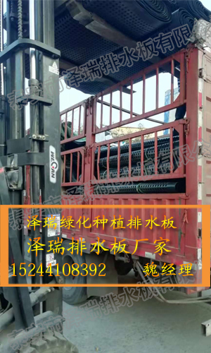 南京3cm_6cm車庫阻根排水板