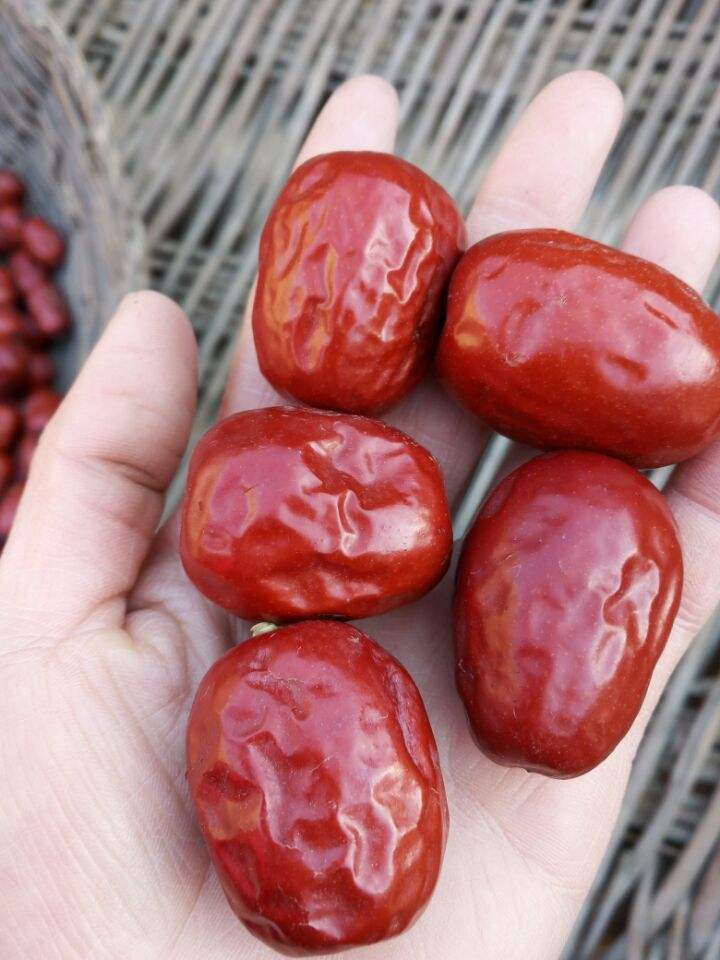山東大棗精致大棗批發(fā)銷(xiāo)售