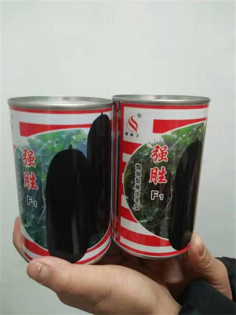 南寧優(yōu)質雜交冬瓜種子_特大黑皮冬瓜種子