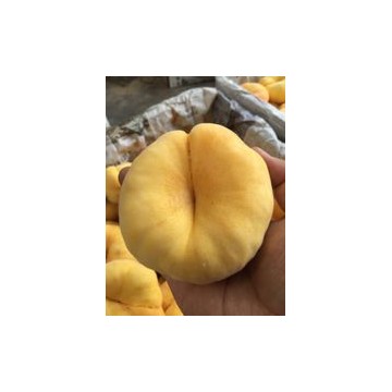 陜西紙袋黃油蟠油桃產(chǎn)地，紙袋黃金蟠油桃產(chǎn)地行情