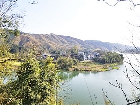 浙江眾扶農(nóng)業(yè)，湖州茶園加盟