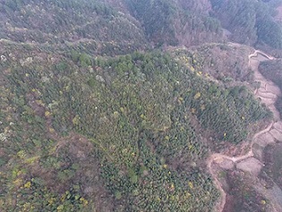 湖州茶園加盟，浙江茶山加盟，湖州轉(zhuǎn)運(yùn)珍茶